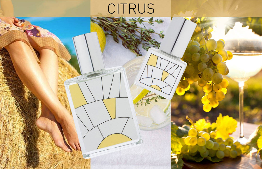 BLENDS Perfume Oil: Citrus - Beloved Boutique 