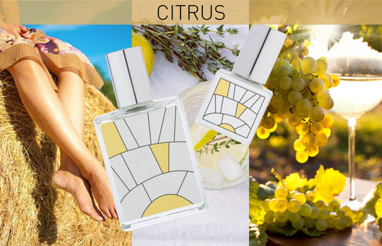 BLENDS Perfume Oil: Citrus - Beloved Boutique 