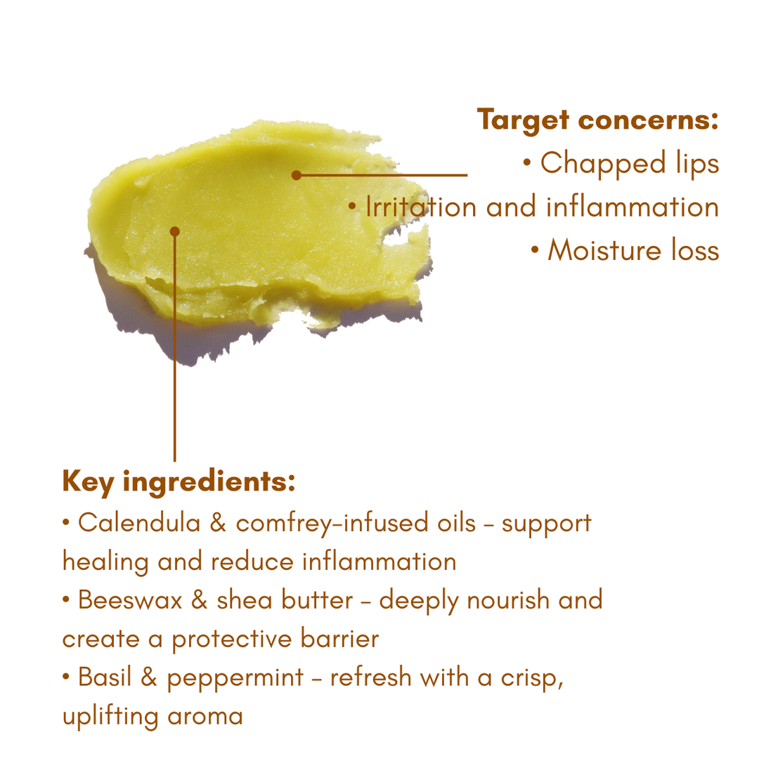Basil Mint Lip Balm - Healing, Botanically-Infused, Bio-Tube - Beloved Boutique 