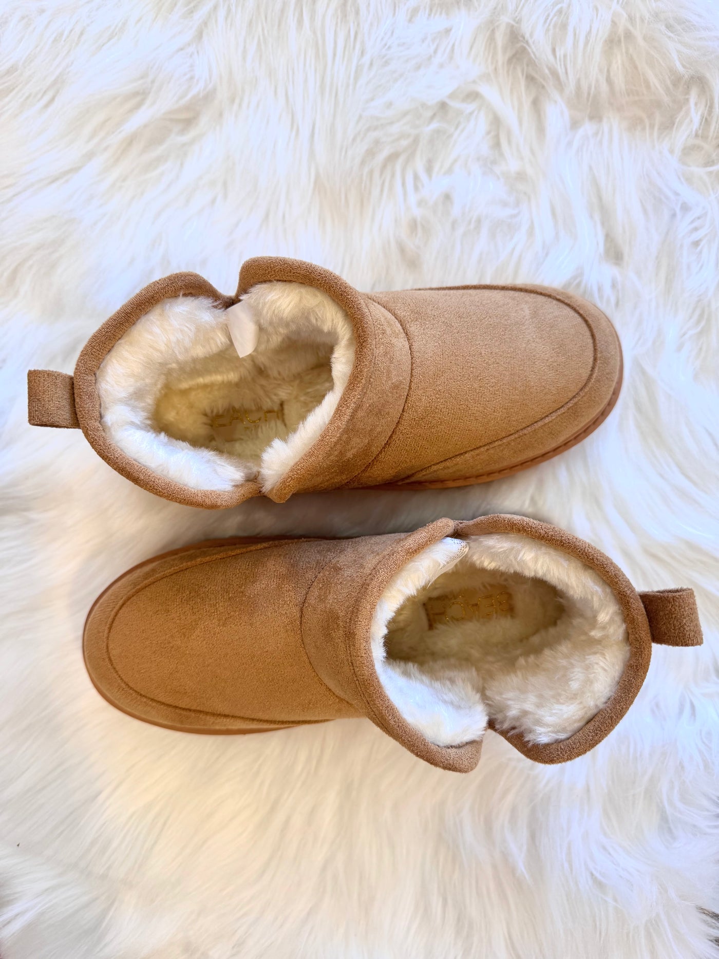 The Alps Boot