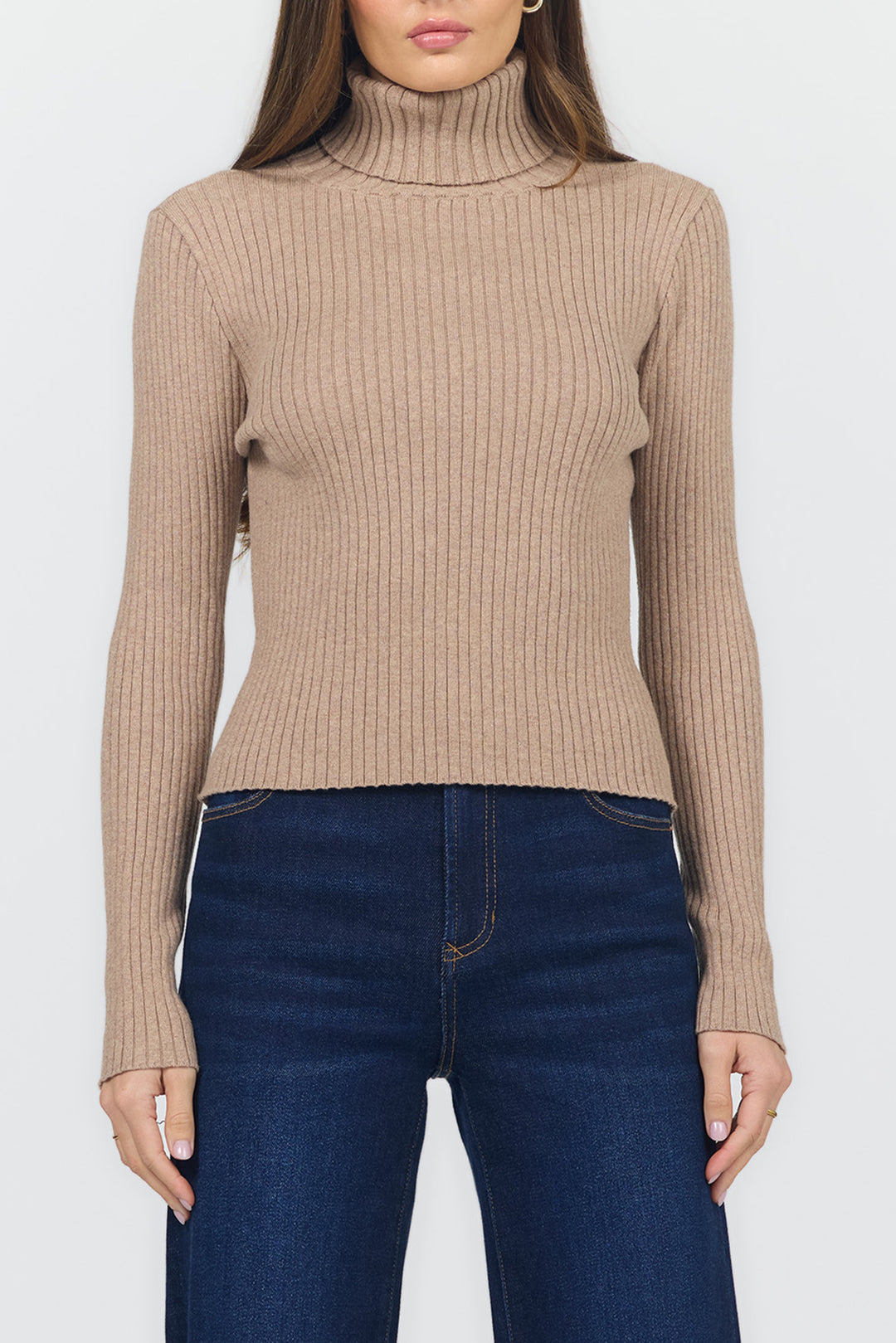 Arlen Turtleneck Top