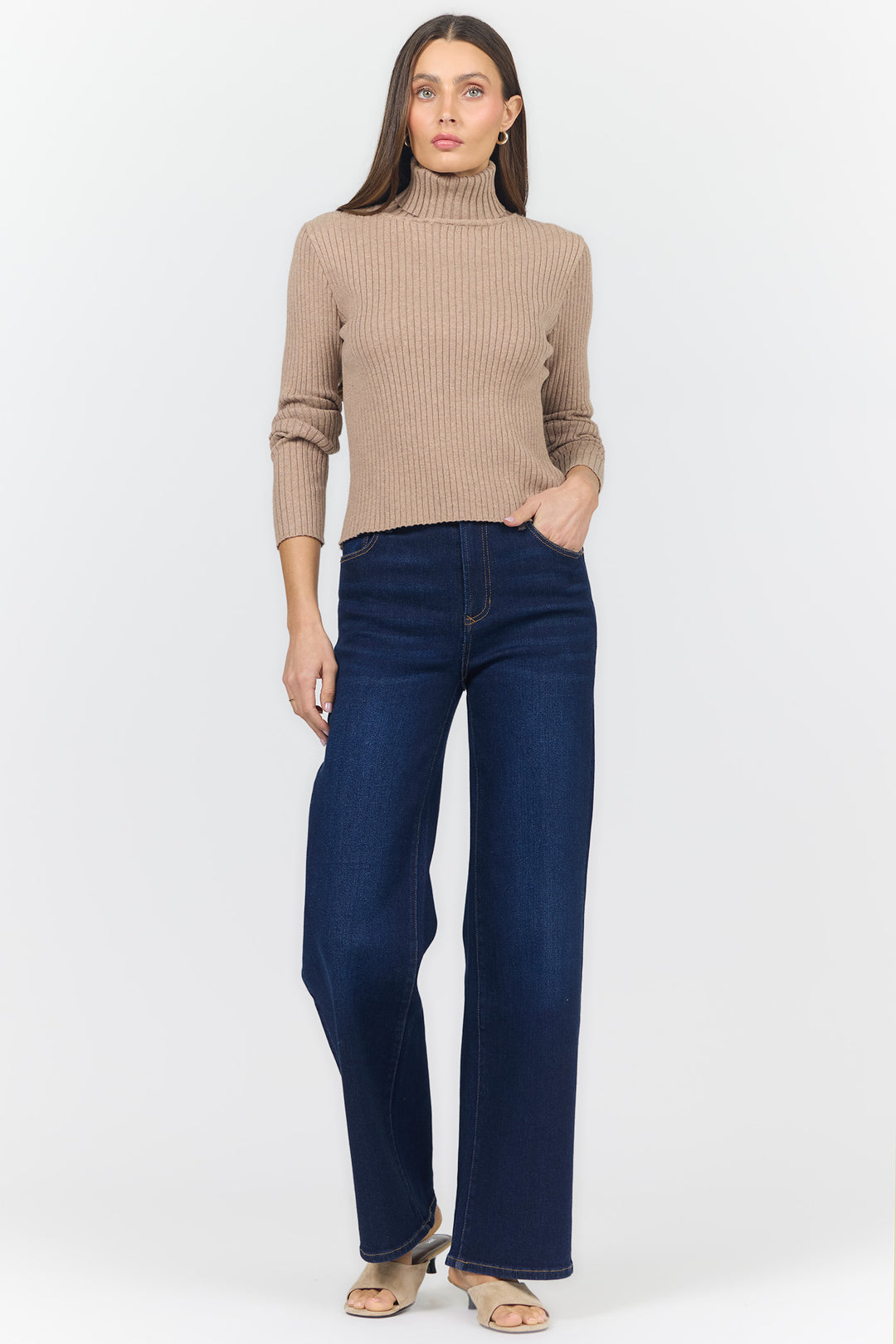 Arlen Turtleneck Top