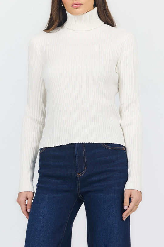 Arlen Turtleneck Top