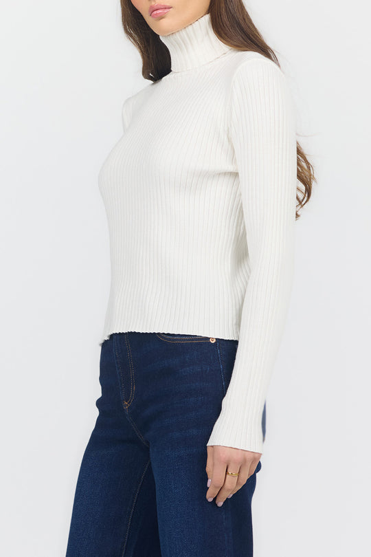 Arlen Turtleneck Top