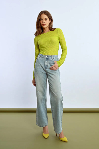 Taylor Embellished Denim
